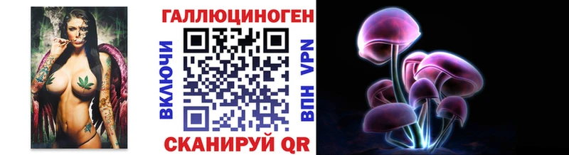 Галлюциногенные грибы GOLDEN TEACHER  где продают   Новочеркасск 